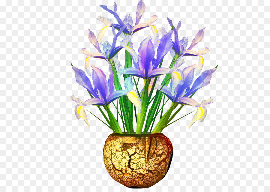 Crocus，Diseño Floral PNG