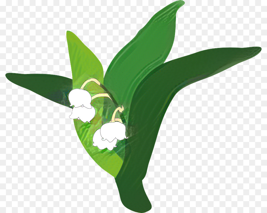 Lily，Lirio De Los Valles PNG