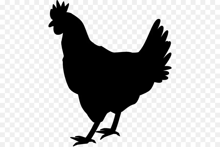 Silueta De Pollo，Aves De Corral PNG