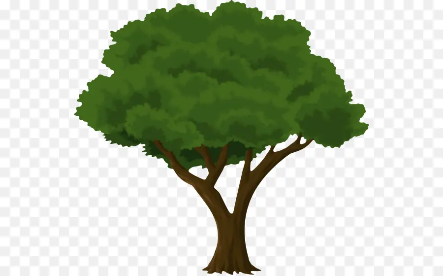 Tronco，Árbol PNG