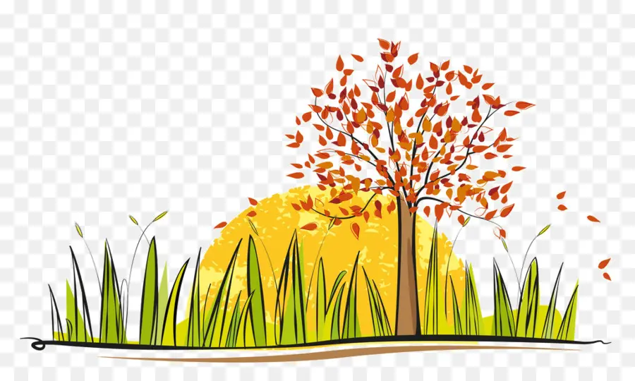 árbol De Otoño，árbol PNG