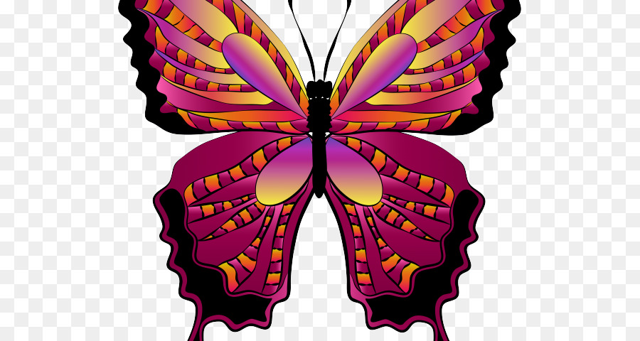 Mariposa，Silueta PNG