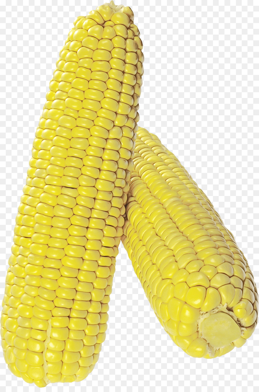 Maíz，Amarillo PNG