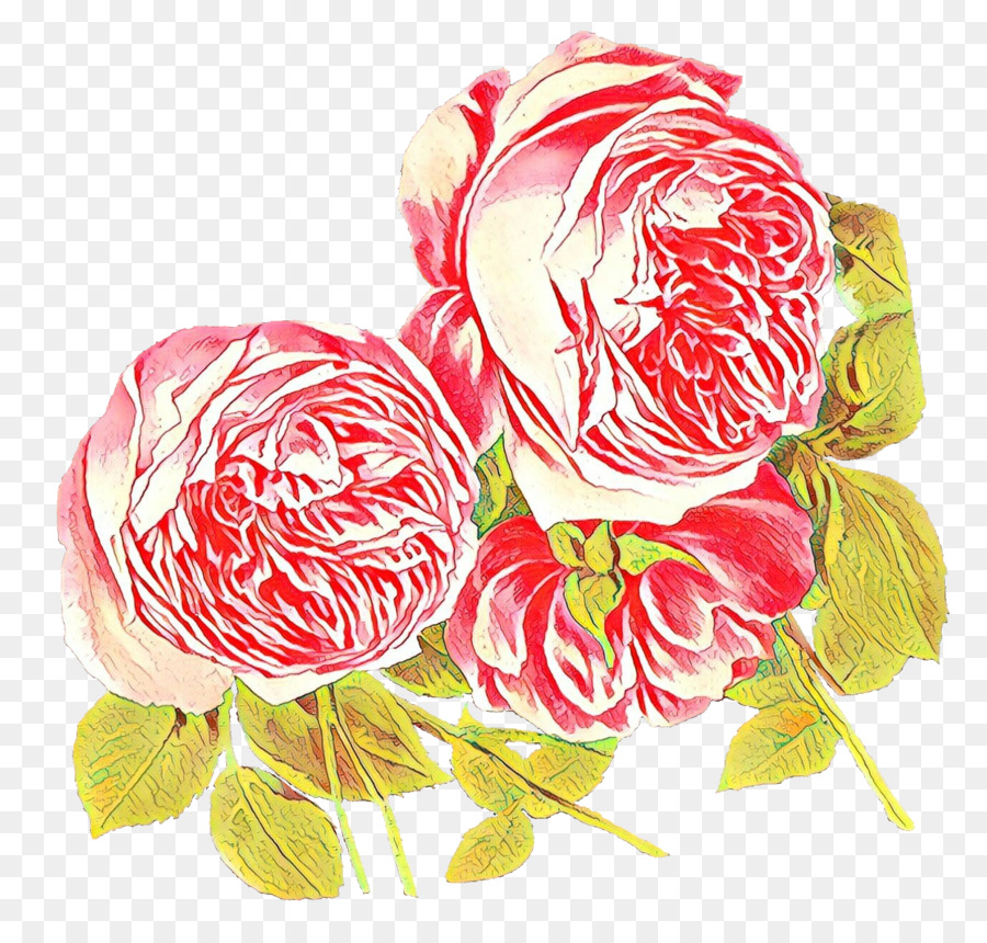 Las Rosas De Jardín，Col Rosa PNG