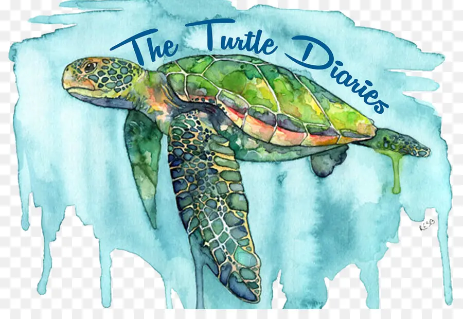 Tortuga，Diarios PNG