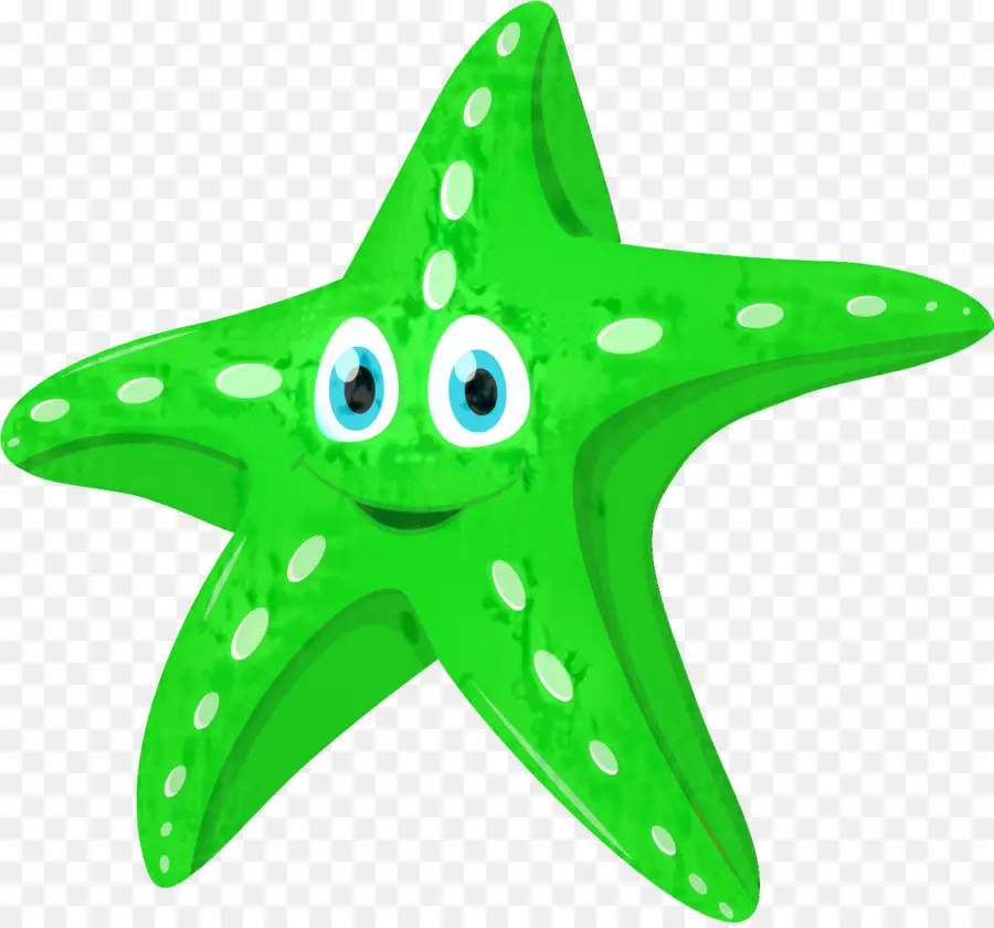 Estrella De Mar，Mar PNG