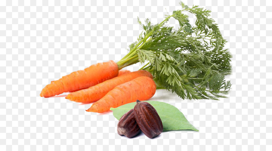 Vegetal，Zanahoria PNG