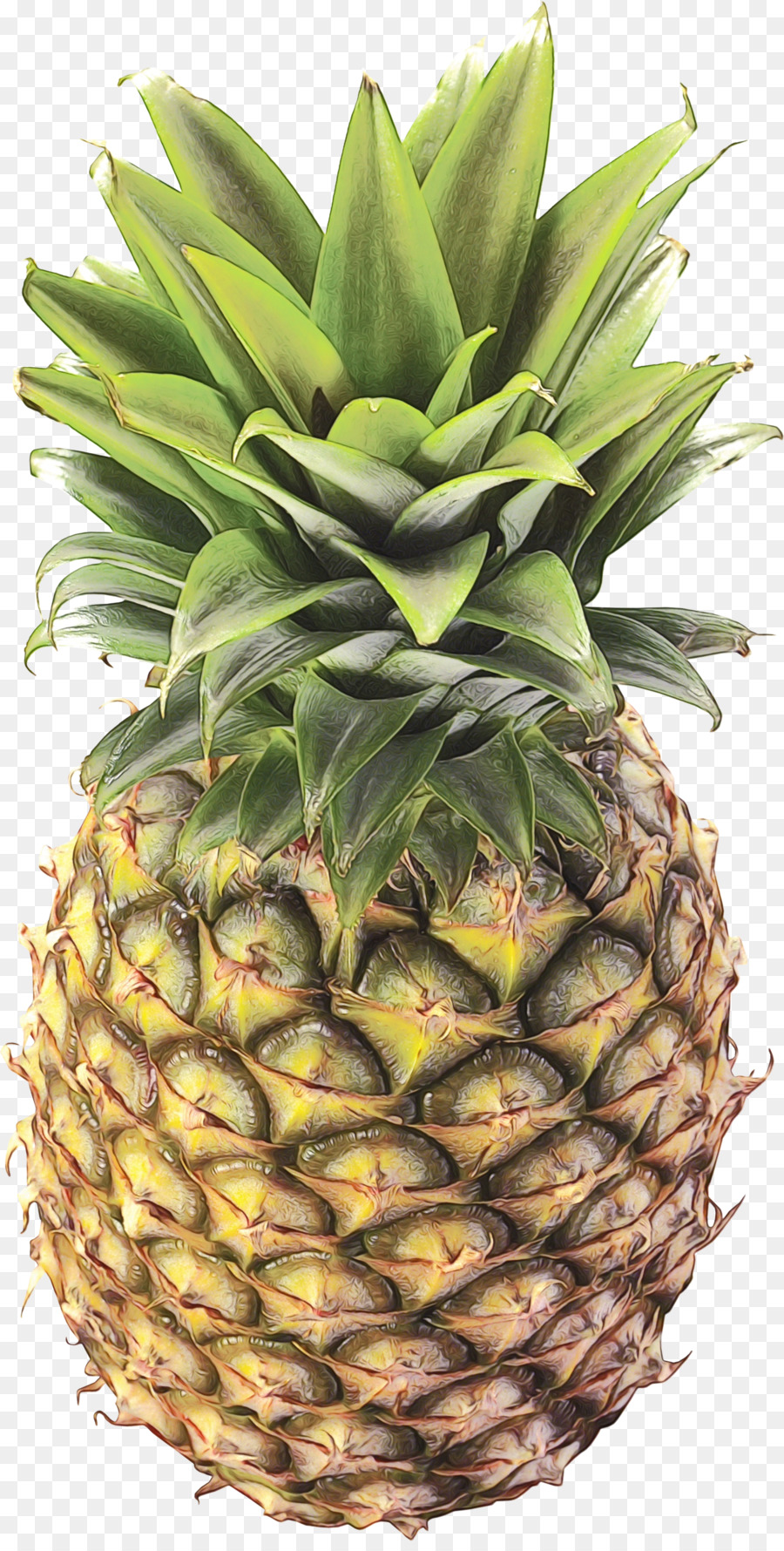 Piña Azul，Fruta PNG