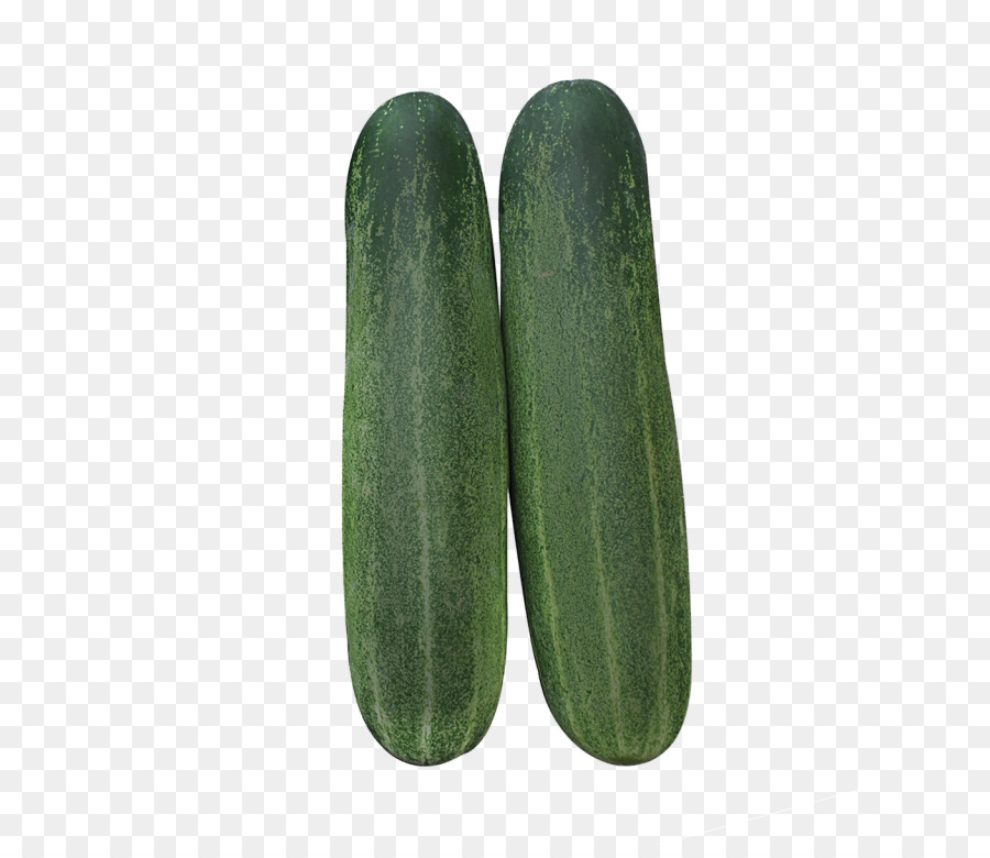 Pepino，Pepino Encurtido PNG