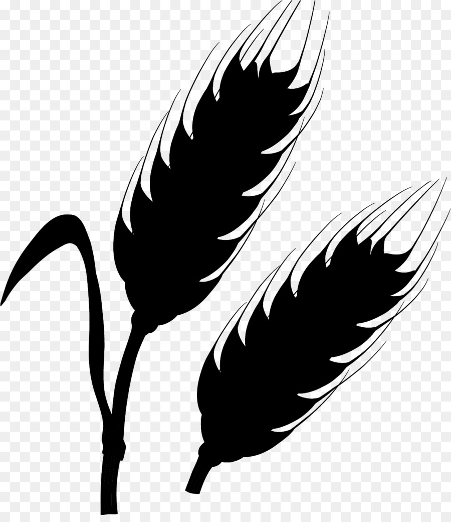 Plantilla，Pluma PNG