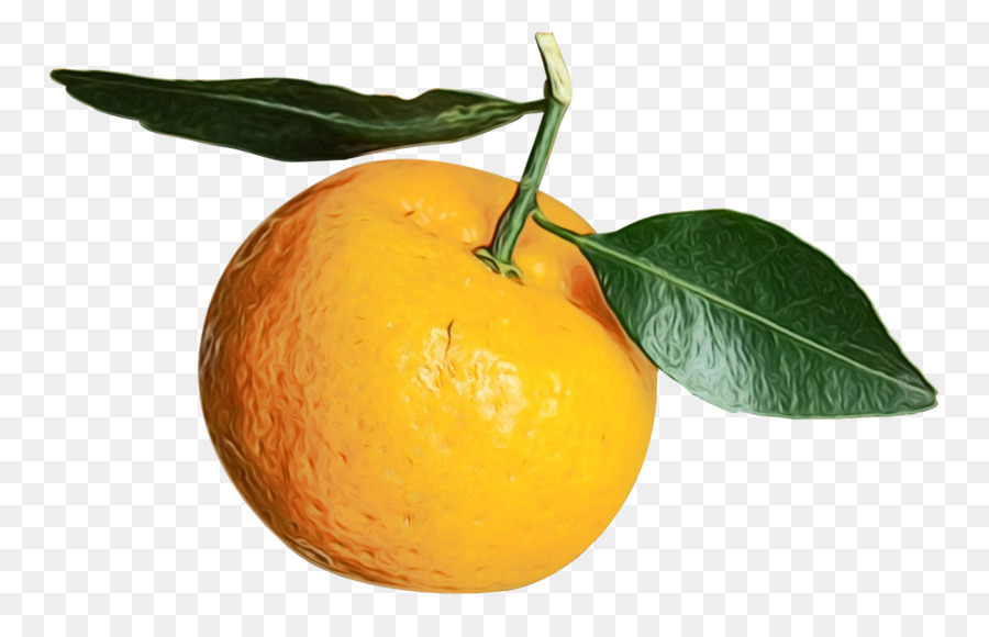 Mandarina，Clementine PNG