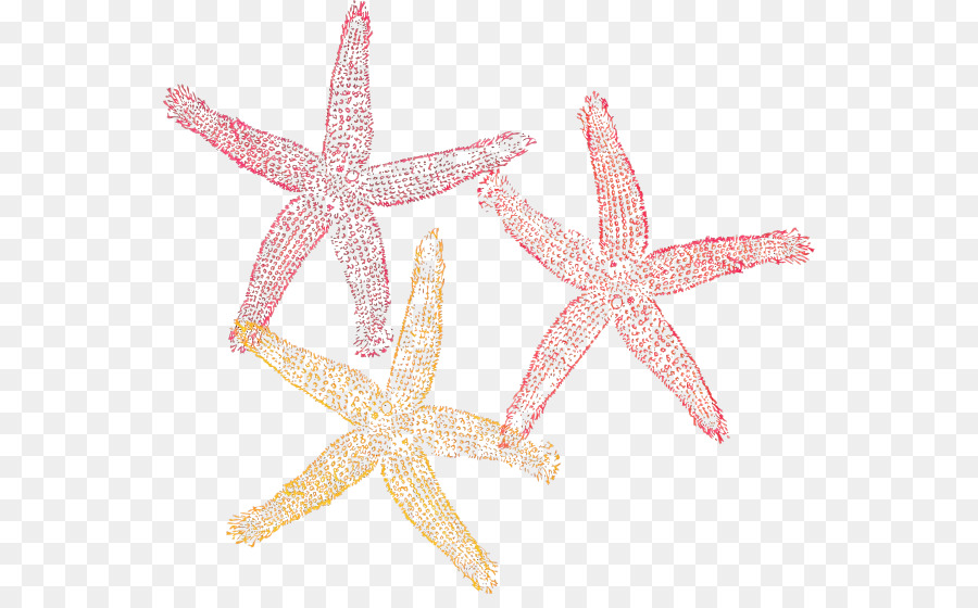 Estrella De Mar，Océano PNG