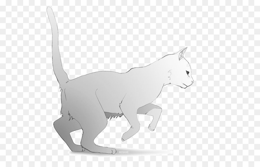 Gatito，Gato PNG