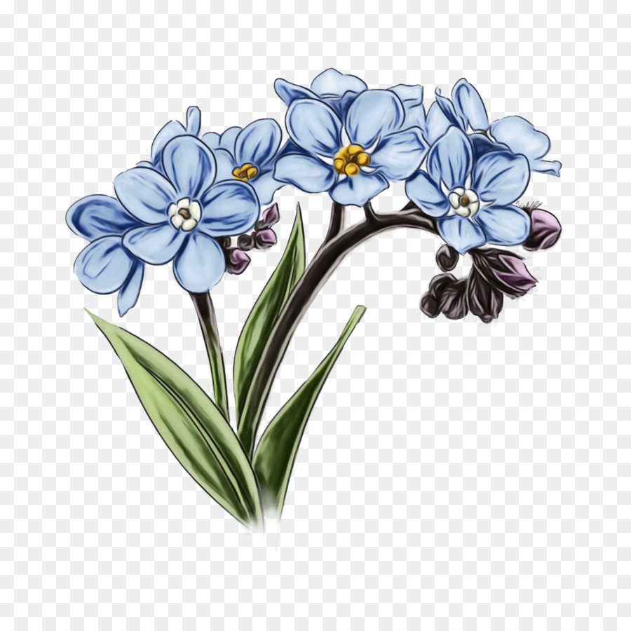 Flores Azules，Botánico PNG