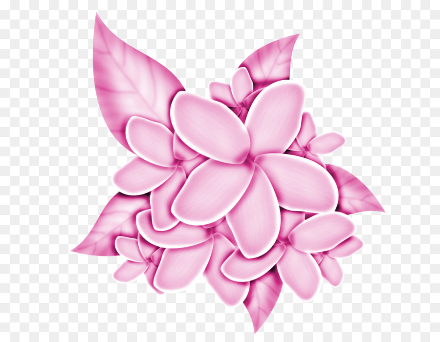 Flores Rosadas，Ramo PNG