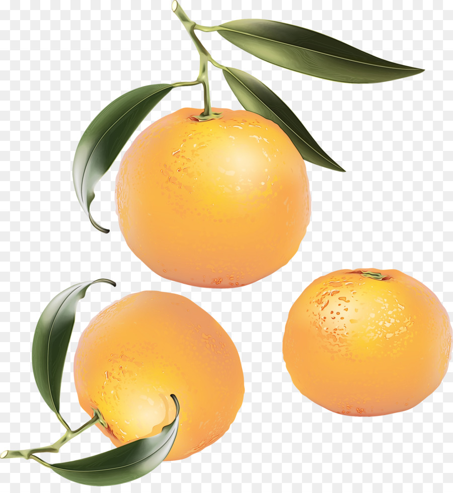 Jugo De Naranja，Mandarina PNG