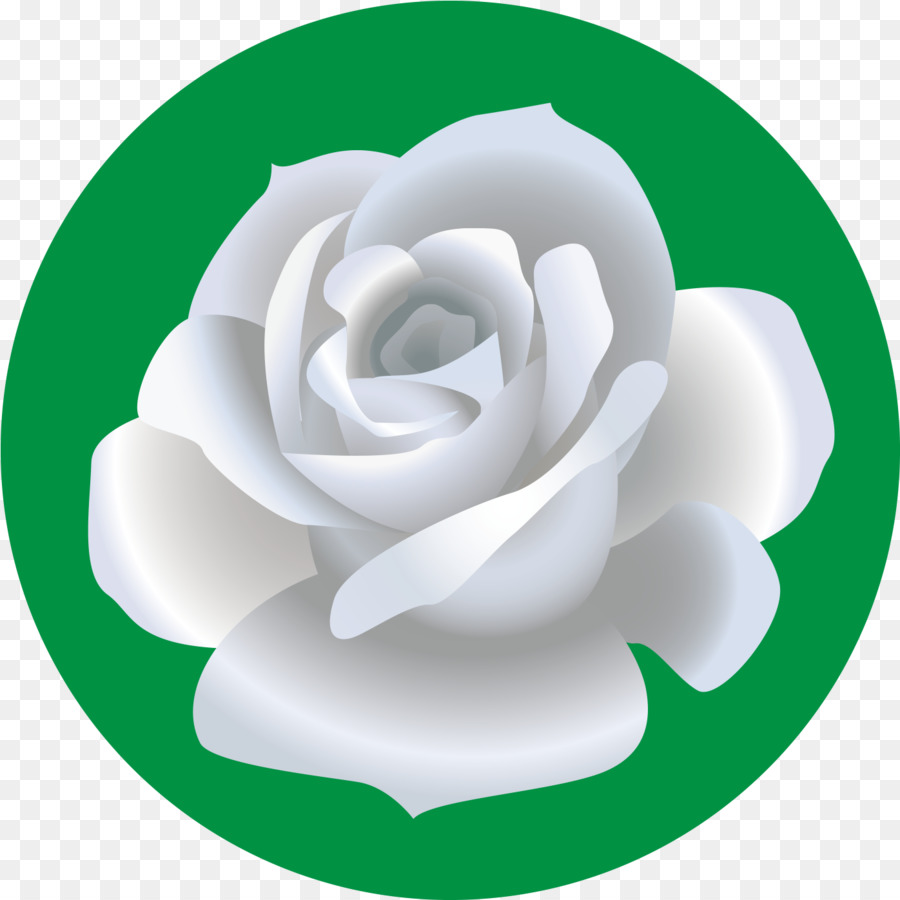 Las Rosas De Jardín，Dibujo PNG