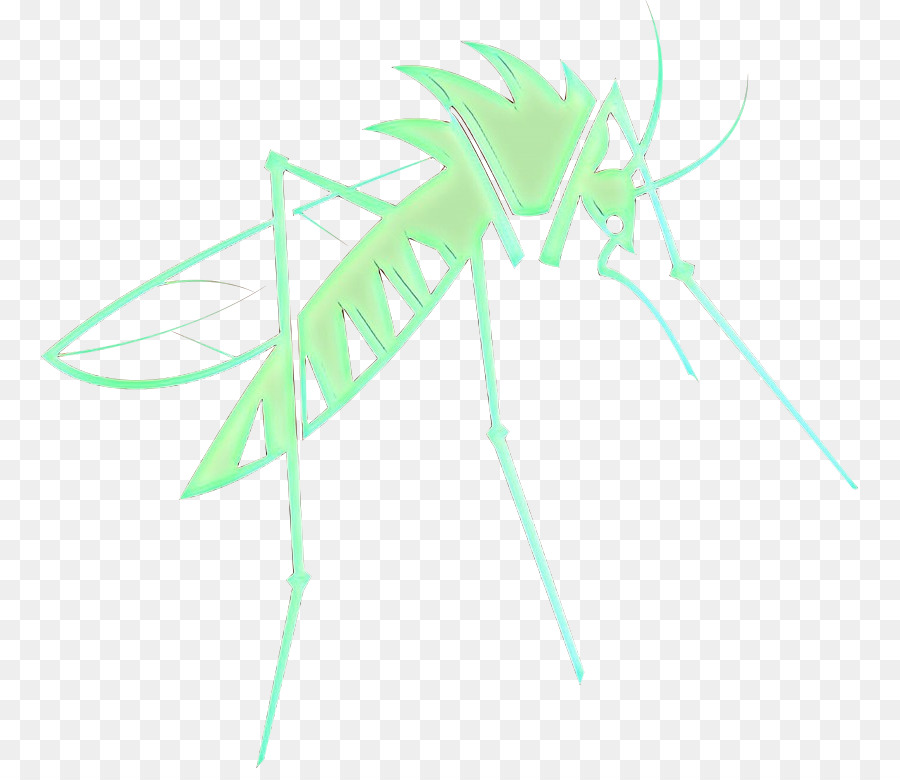 Mosquito，Los Insectos PNG
