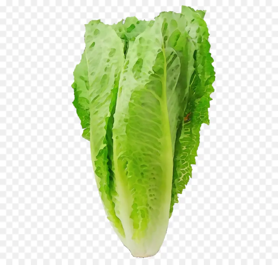 Lechuga Romana，Salud PNG