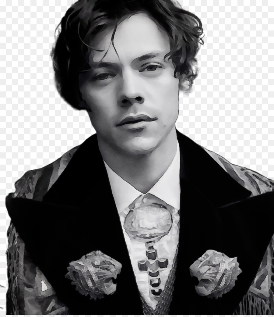 Estilos De Harry，Músico PNG