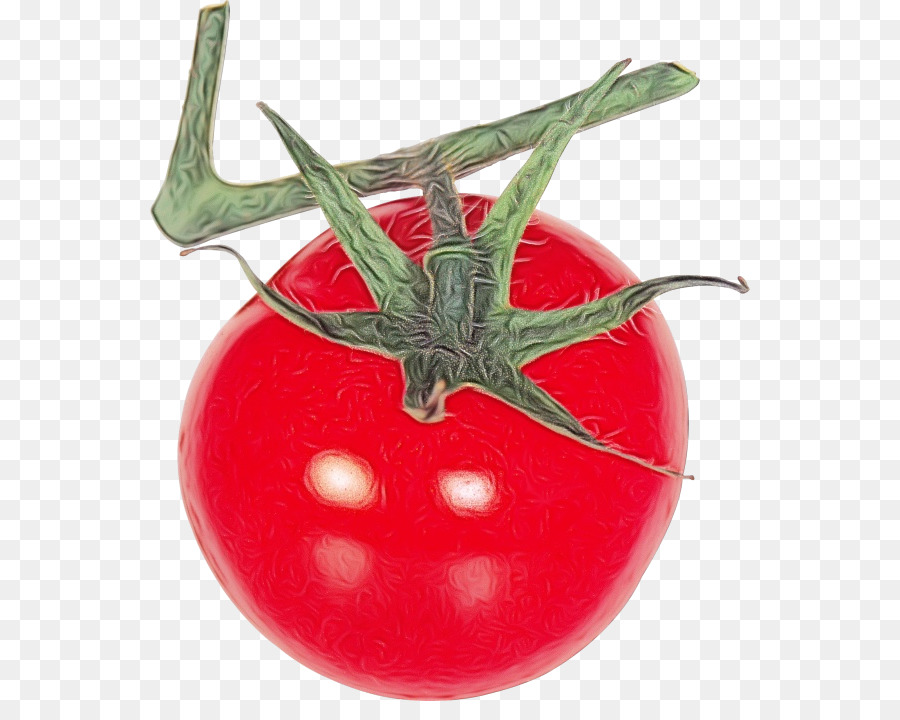 Pizza，Tomate Cherry PNG