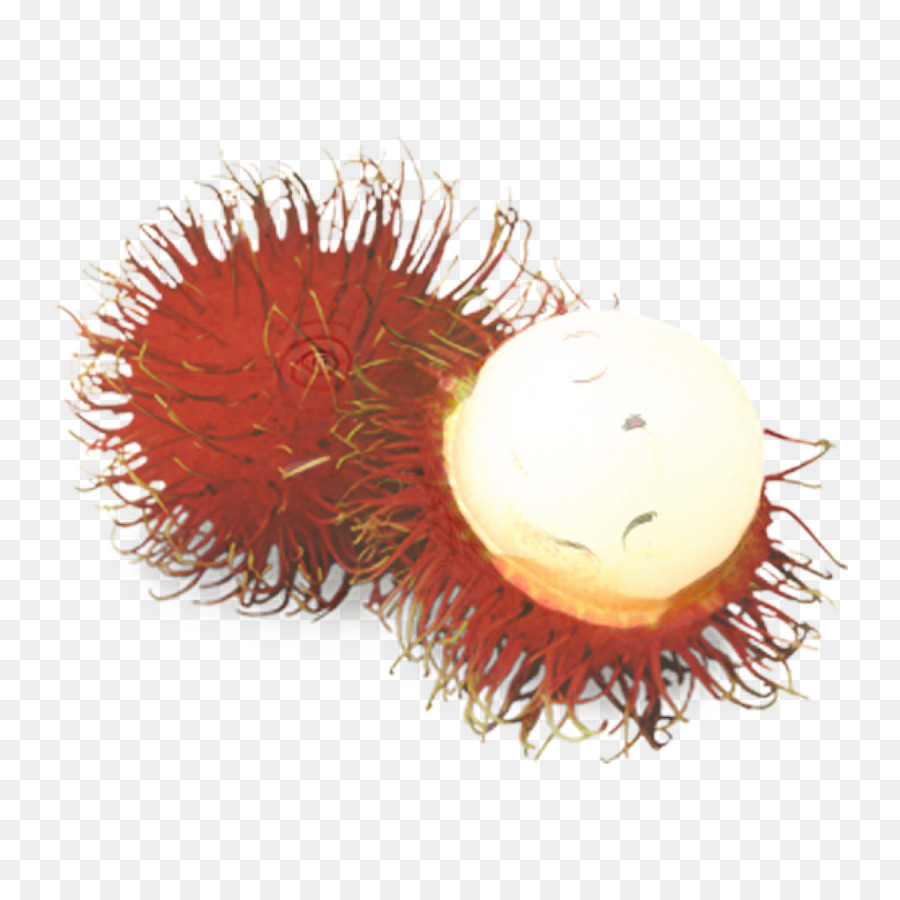 El Rambutan，La Fruta PNG