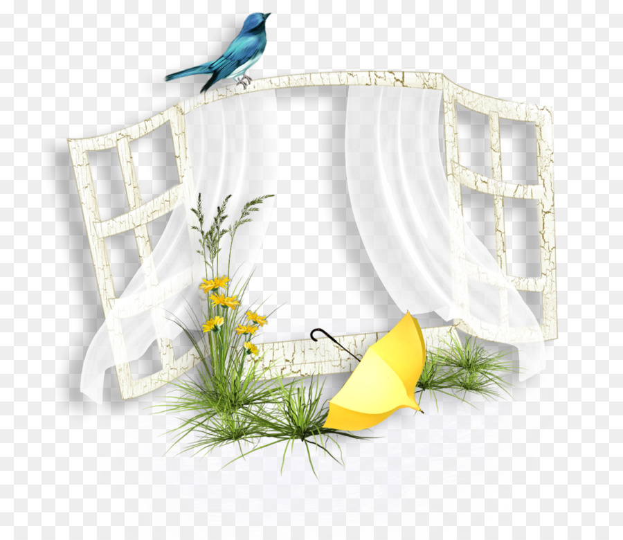 Blog，Ventana PNG