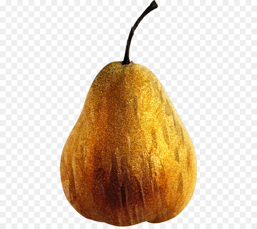 Calabaza，Pera PNG