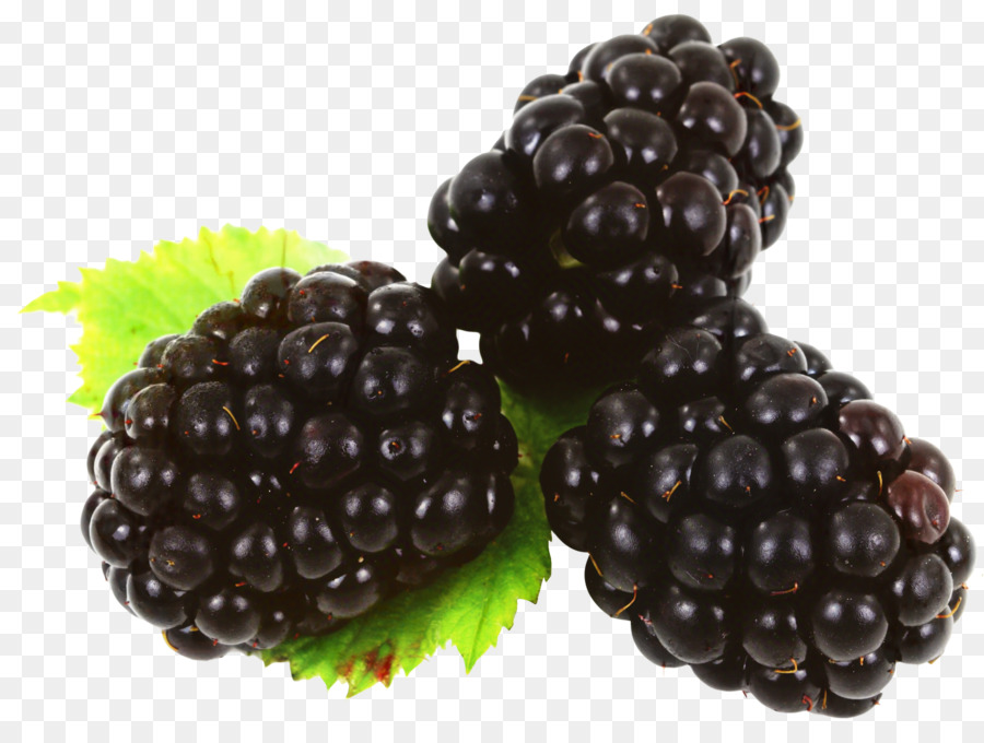 Moras，Hoja PNG