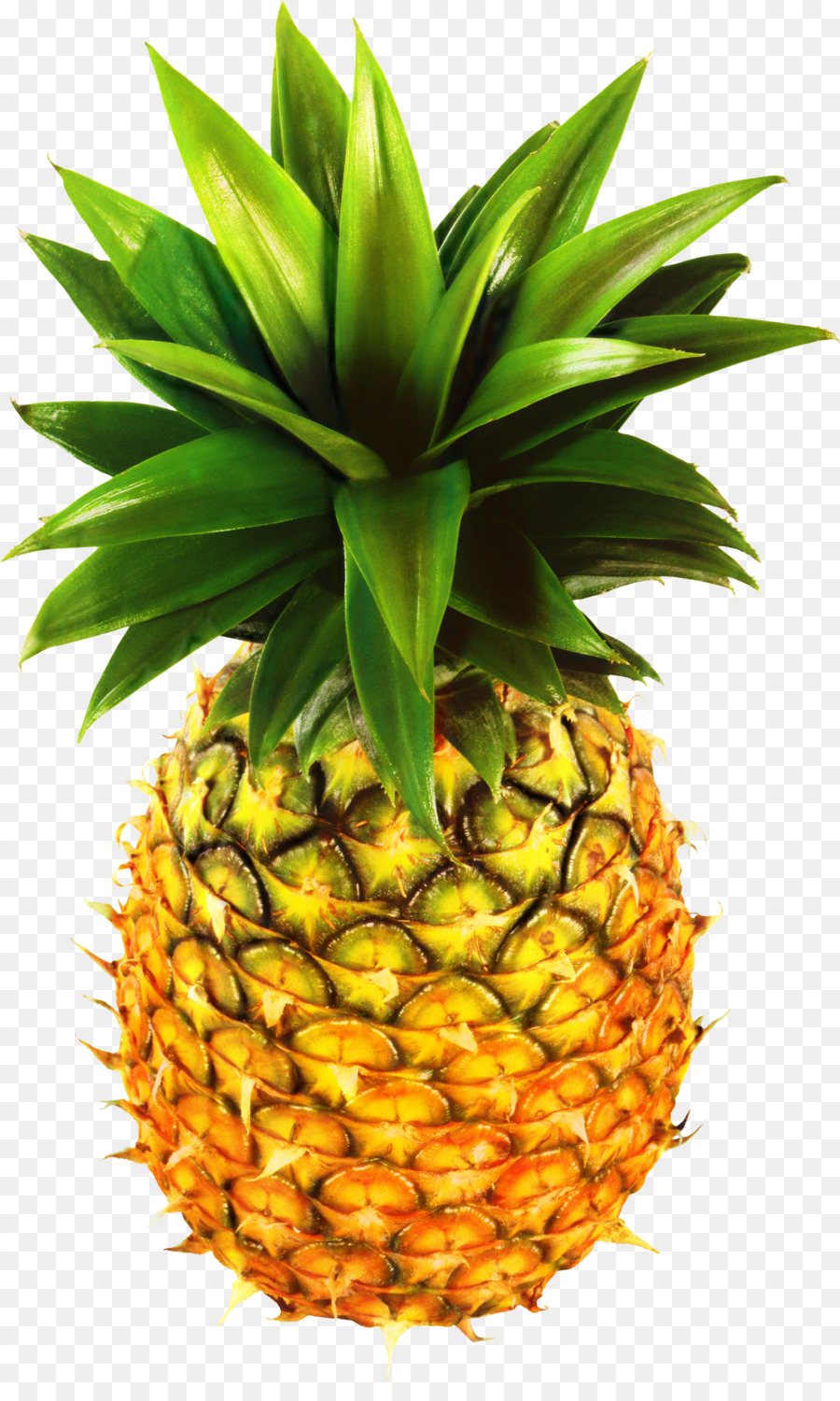 Piña，La Fruta PNG