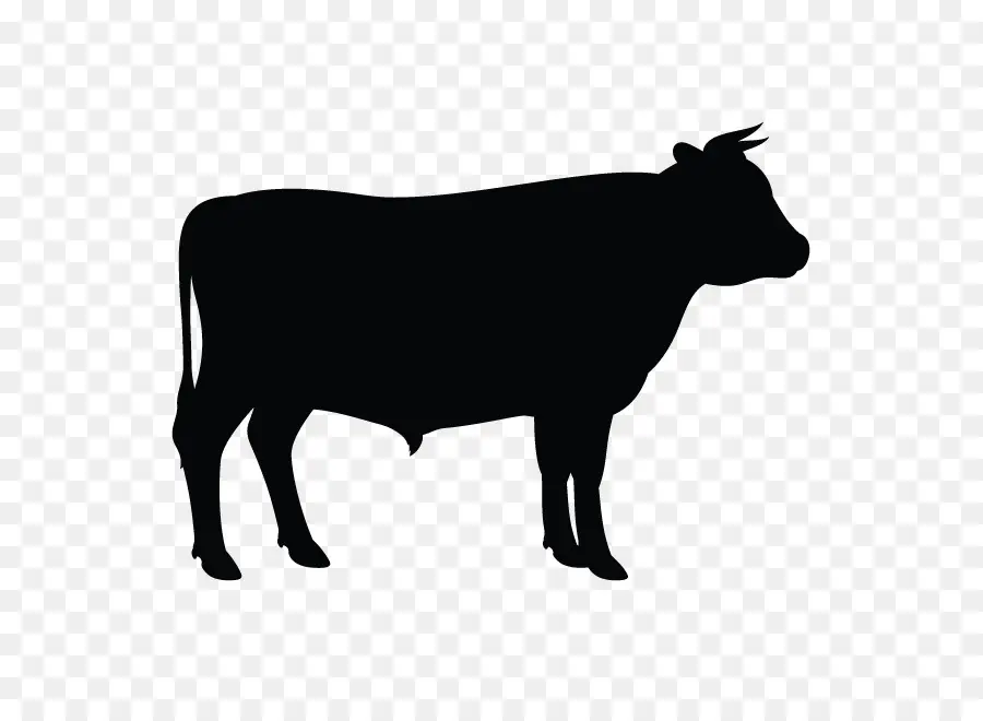 Ganado Angus，Silueta PNG