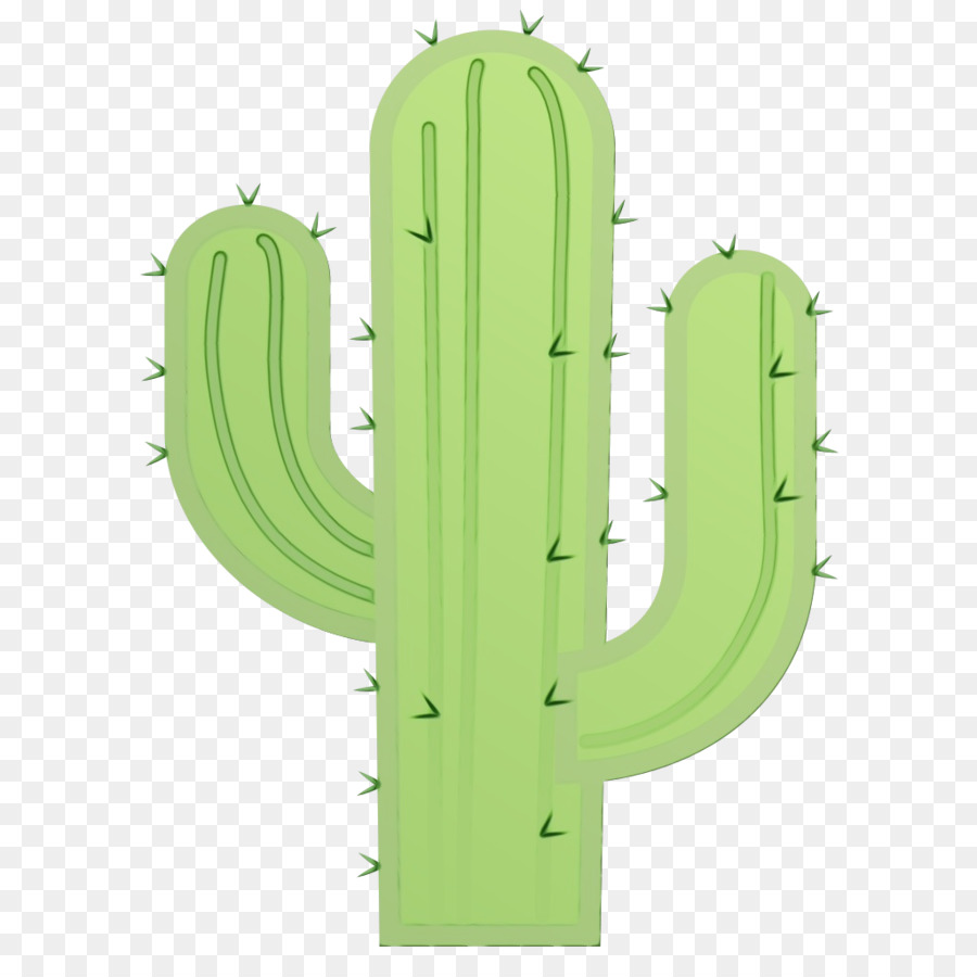 Echinocereus，Cactus PNG