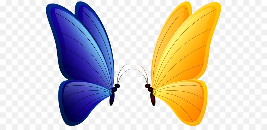 Mariposa，Fondo De Escritorio PNG