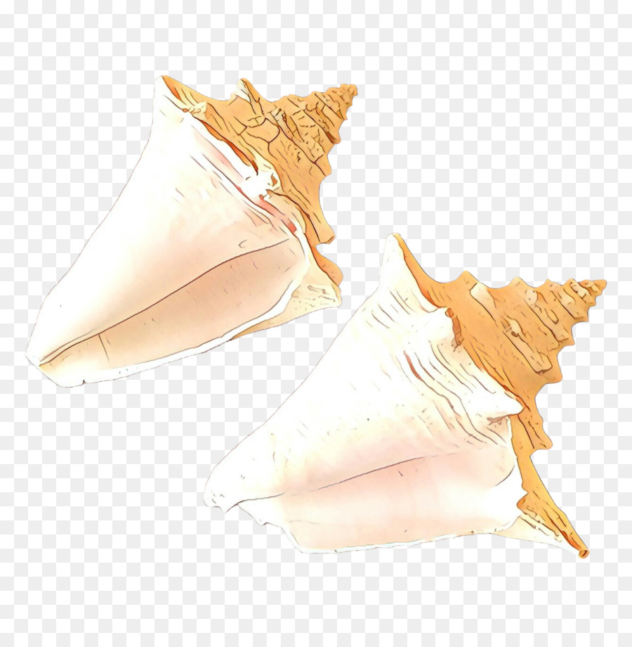 Concha，La Concha PNG