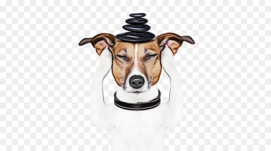 Mascota，Perro De Terapia PNG