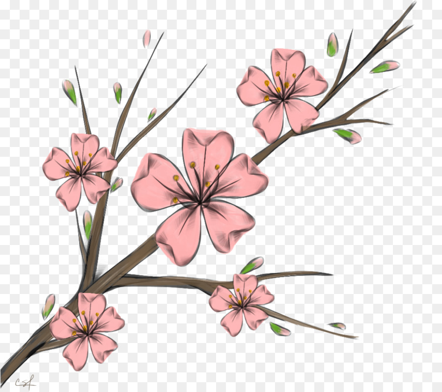 De Los Cerezos En Flor，Taza PNG