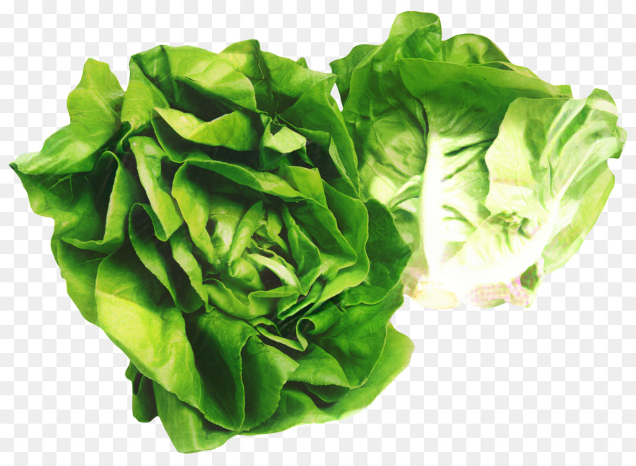 Butterhead Lechuga，Sándwich De Lechuga PNG