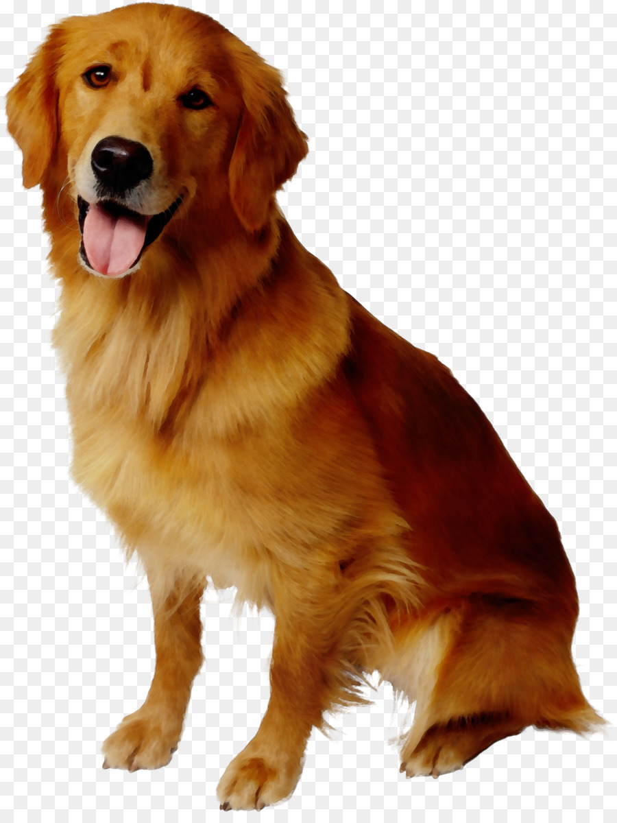 Perro，Mascota PNG