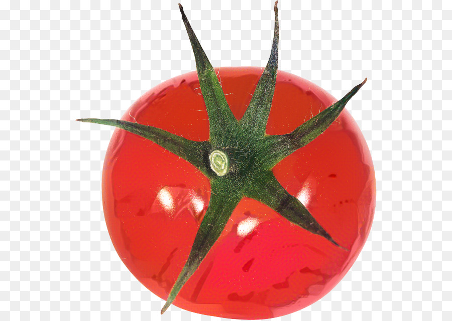 Tomate，Tomatom PNG