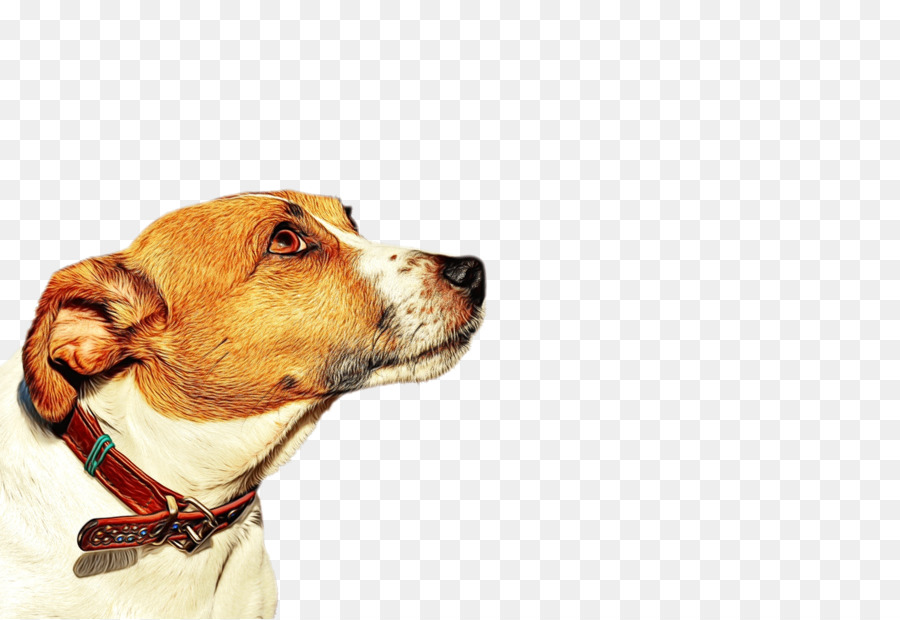 Cara De Perro，Mascota PNG