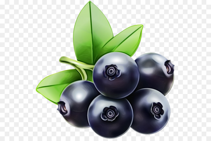 Arándano，Huckleberry PNG