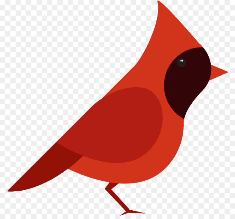 Cardenal Del Norte，Aves PNG