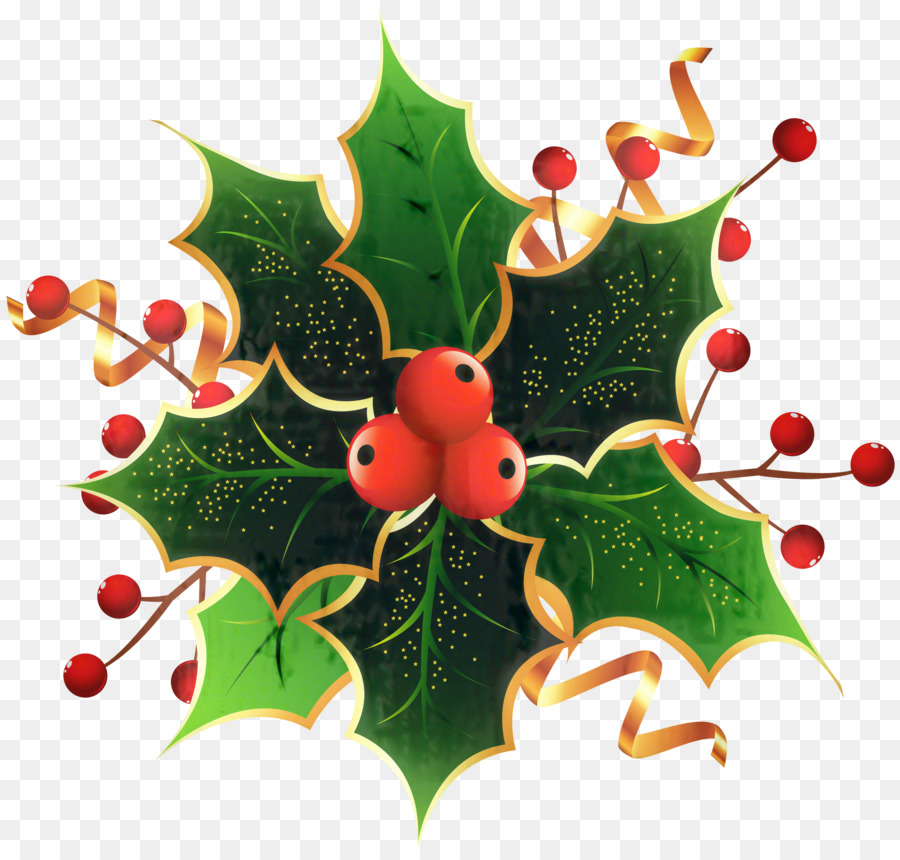 Aquifoliales，Adorno De Navidad PNG