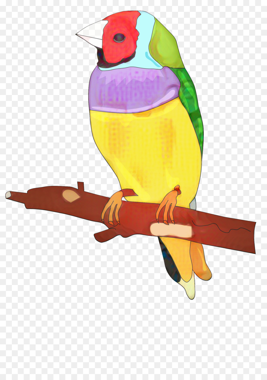 Parakeet，Aves PNG
