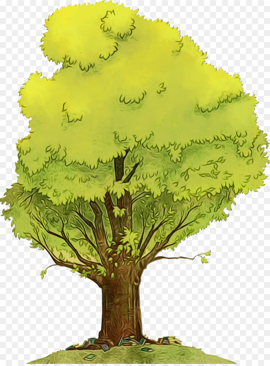 árbol Verde，Hojas PNG