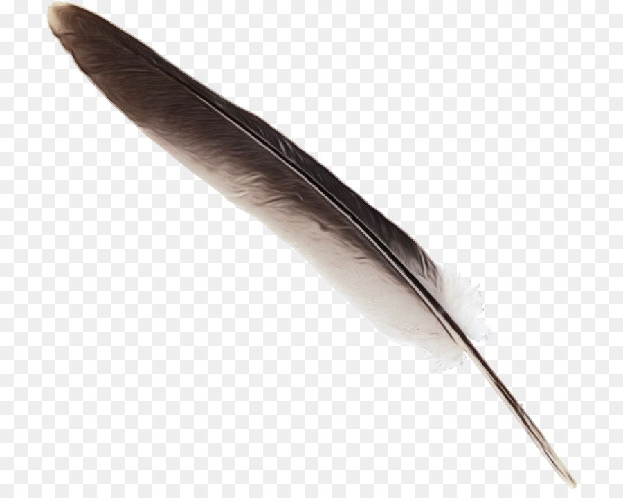 Pluma，Lápiz PNG