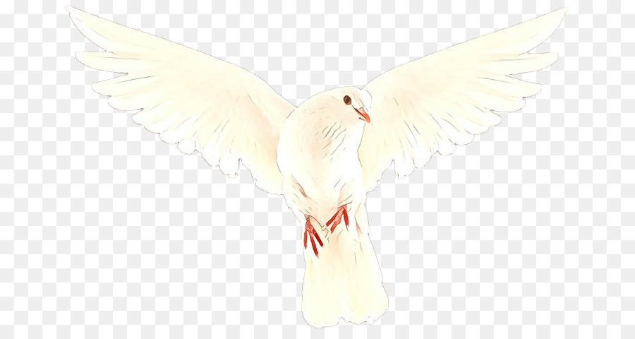 Pico，Pluma PNG