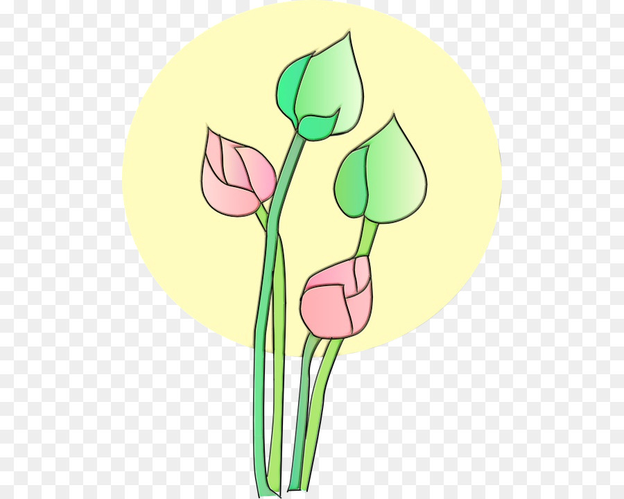 Diseño Floral，Tulip PNG