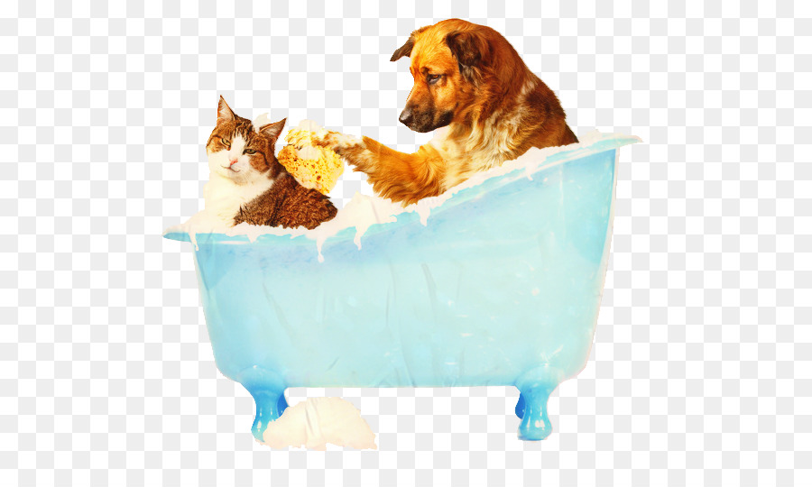 Perro，Gato PNG