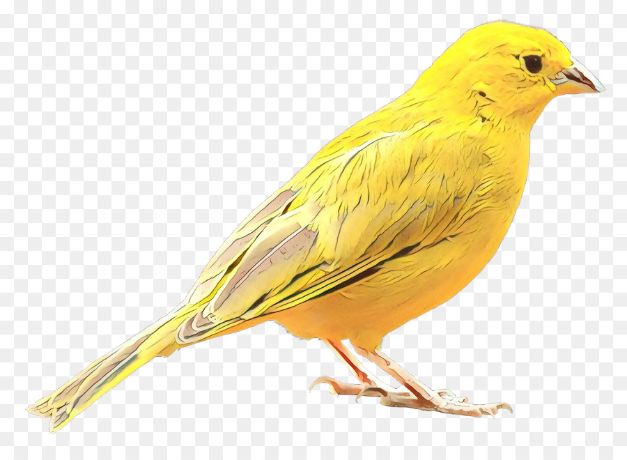 Pájaro Amarillo，Vuelo PNG